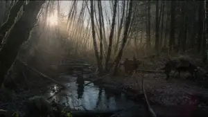 Задник к фильму "Выживший" #516963