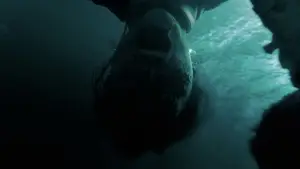 Задник к фильму "Пришлите помощь" #507579