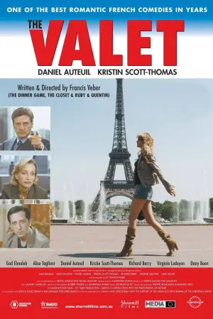 Постер к фильму "Дублёр" #310672