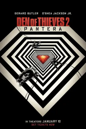 Охота на воров 2: Пантера