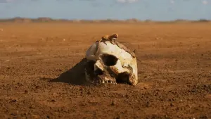 Задник к фильму "Фуриоса: Хроники Безумного Макса" #429937