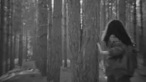 Wayfaring Stranger