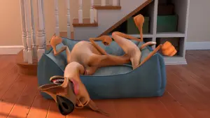 Задник к фильму "Мармадюк" #337067