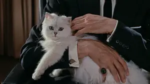 Задник к фильму "007: Из России с любовью" #624415