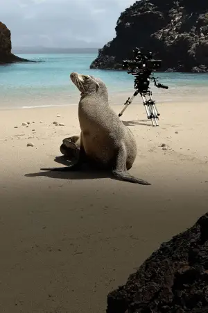 Постер к фильму "" #720083