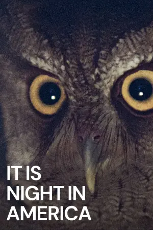 Постер к фильму "" #191807