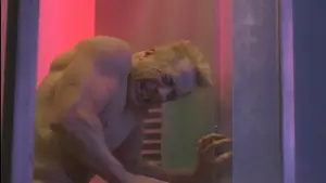 Задник к фильму "Универсальный солдат 2: Братья по оружию" #402758