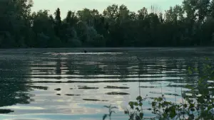 Задник к фильму "Назови меня своим именем" #595930