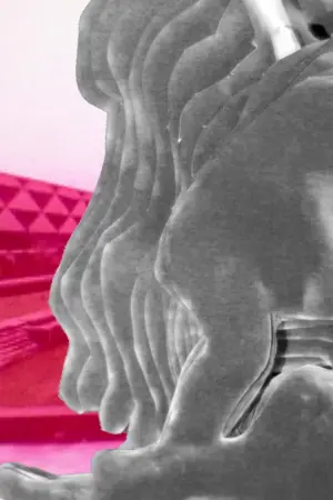 Постер к фильму "On the nature of the bone"