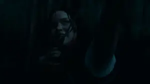 Задник к фильму "Голодные игры: И вспыхнет пламя" #625235