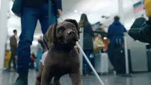 Задник к фильму "" #429759