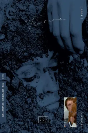 Постер к фильму "Теорема" #239904