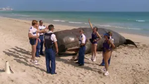 Задник к фильму "" #382599