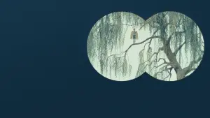 Задник к фильму "Лебедь" #378845