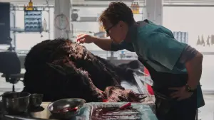 Задник к фильму "Волк-викинг" #331010