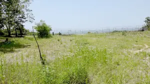 Задник к фильму "" #415750