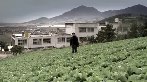 Задник к фильму "Воспоминания об убийстве" #630491