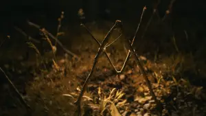 Задник к фильму "" #522809