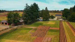 Задник к фильму "" #614572