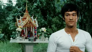 Задник к фильму "Большой босс" #726724