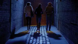 Задник к фильму "Коллекционер 2" #598830