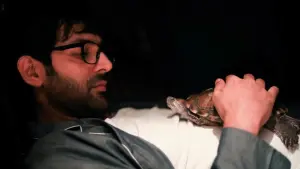 Задник к фильму "Фредди" #483622