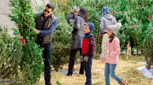 Задник к фильму "Рождество по соседству" #423286