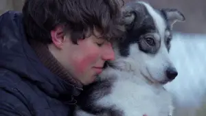 Задник к фильму "" #536113