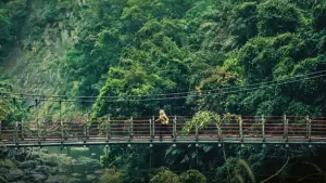 Задник к фильму "Ресторан на краю света" #533241