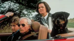 Задник к фильму "Слежка 2: Снова в засаде" #491577