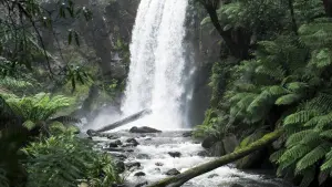 Задник к фильму "Город тайн: Исчезнувшая" #430503