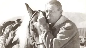 Задник к фильму "" #406414