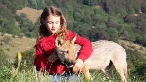 Задник к фильму "Мой волк" #237528