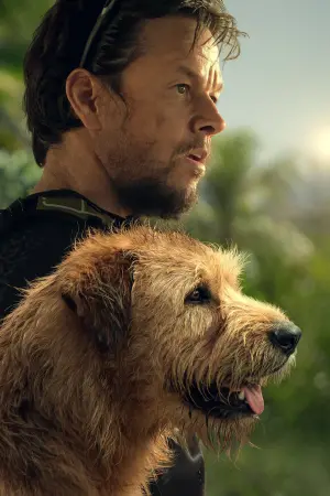 Постер к фильму "" #418307