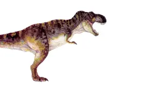 Задник к фильму "Парк Юрского периода 2: Затерянный мир" #281866