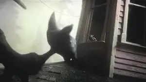 Коралина в Стране Кошмаров