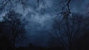 Задник к фильму "Взрослый мир" #698492