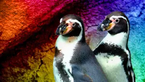 Задник к фильму "" #490914