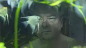 Задник к фильму "Герберт" #499423