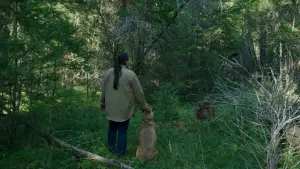 Задник к фильму "" #490757