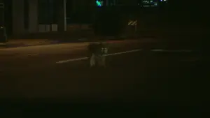 Задник к фильму "Соучастник" #626039