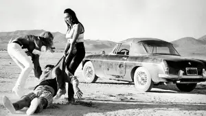 Задник к фильму "Быстрая Кошечка! Убей, Убей!" #424391