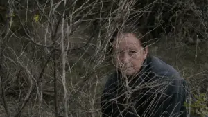 Задник к фильму "" #367185