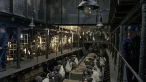 Задник к фильму "Мотылёк" #223398