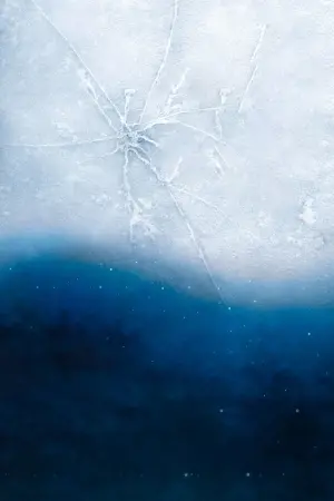 Постер к фильму "Вечное сияние чистого разума" #178147