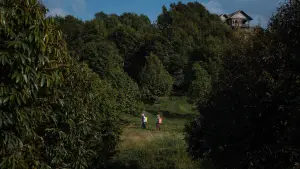 Задник к фильму "Терновый рай" #700396