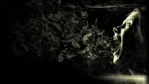 Задник к фильму "Шкатулка проклятия" #394016