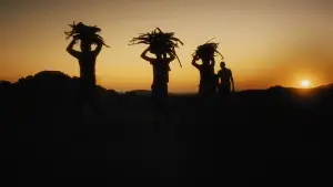 Задник к фильму "" #546403