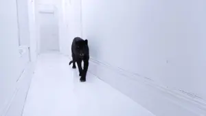 Задник к фильму "Экстро" #392478