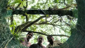 Задник к фильму "Сахарная фабрика" #694590